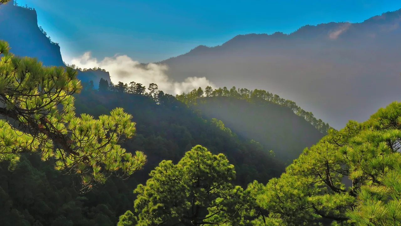 Pinos y quebradas de La Cumbrecita con niebla entre los cerros