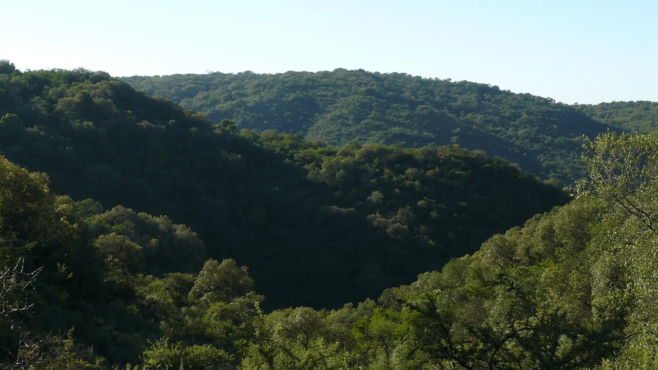 Laderas cubiertas de monte verde en las sierras de Santa Rosa de Calamuchita