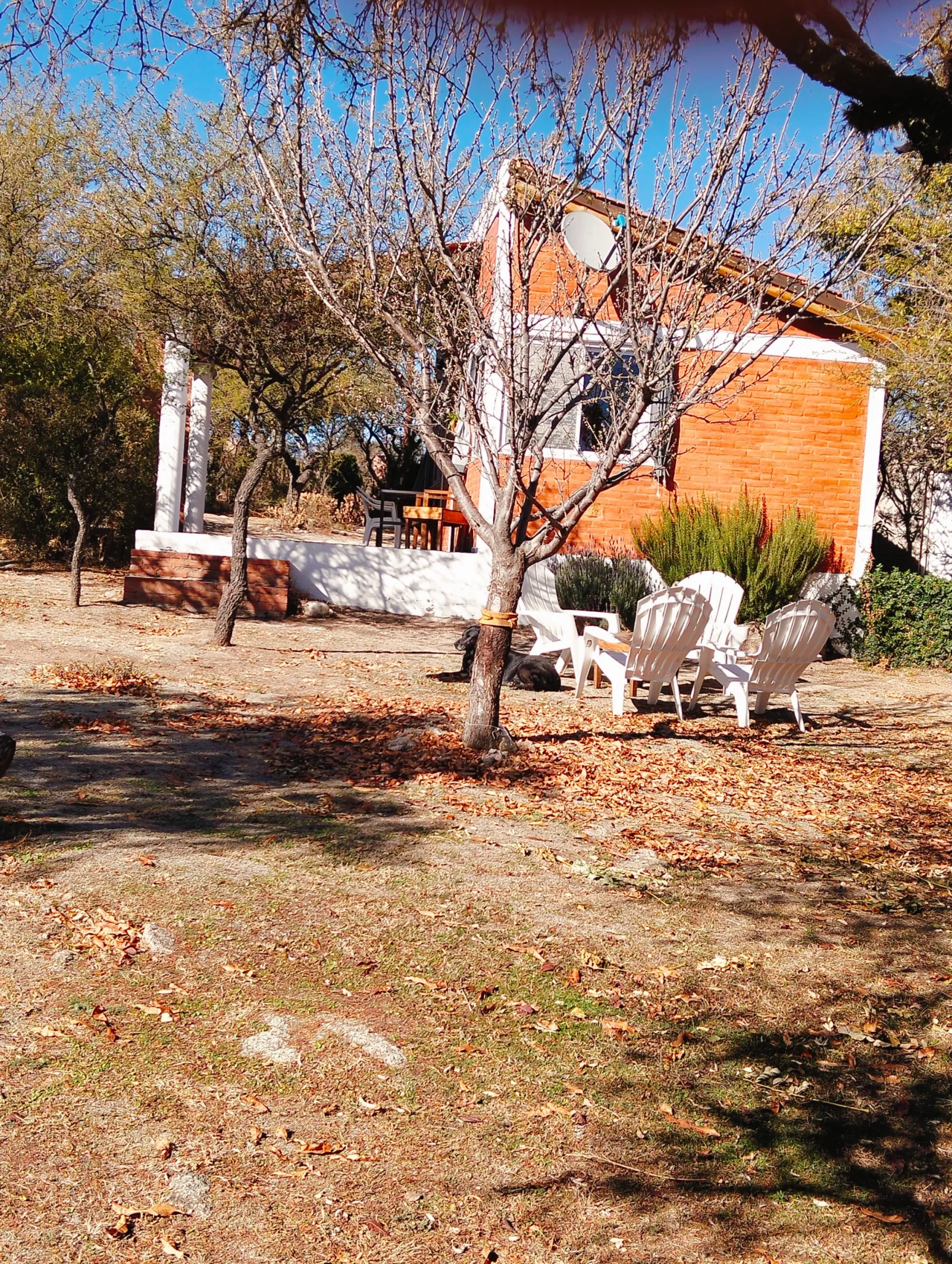 Parque.
