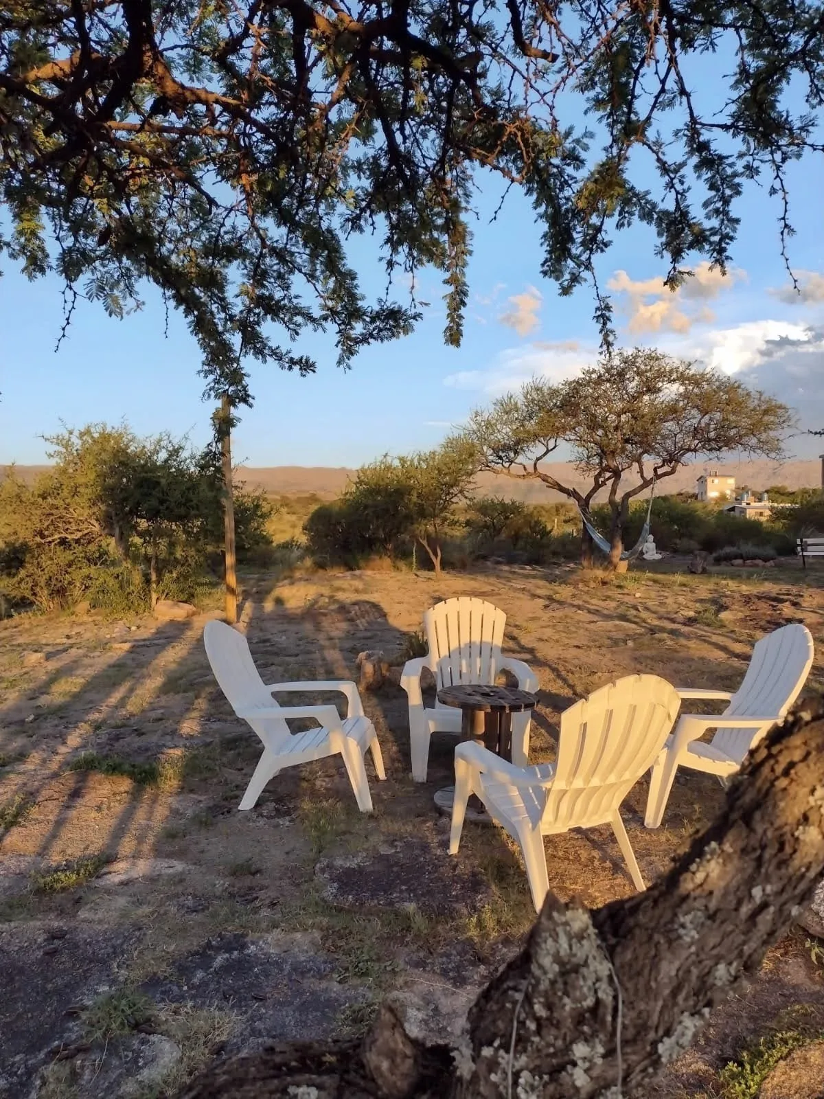 Atardecer en el parque.