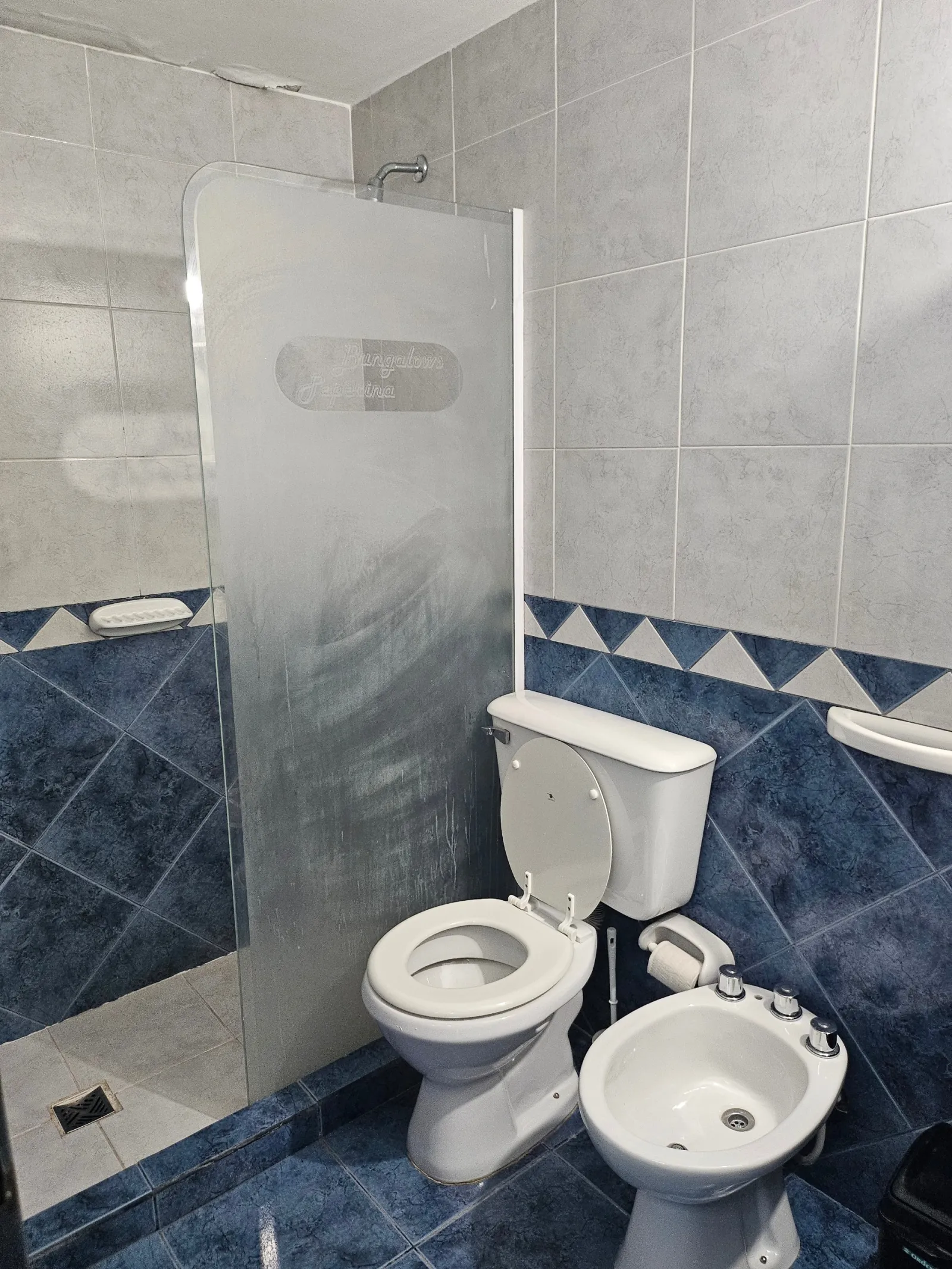 Baño con inodoro blanco, ducha con mampara de vidrio esmerilado, paredes con azulejos azul y blanco con diseño geométrico
