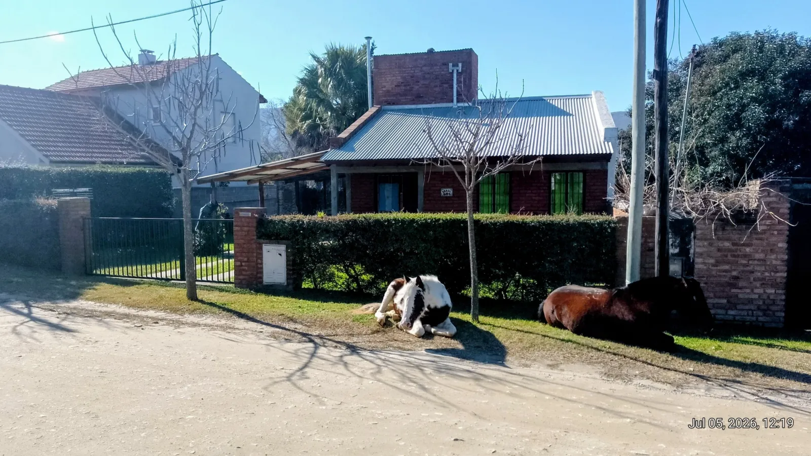Otro costado de la casa