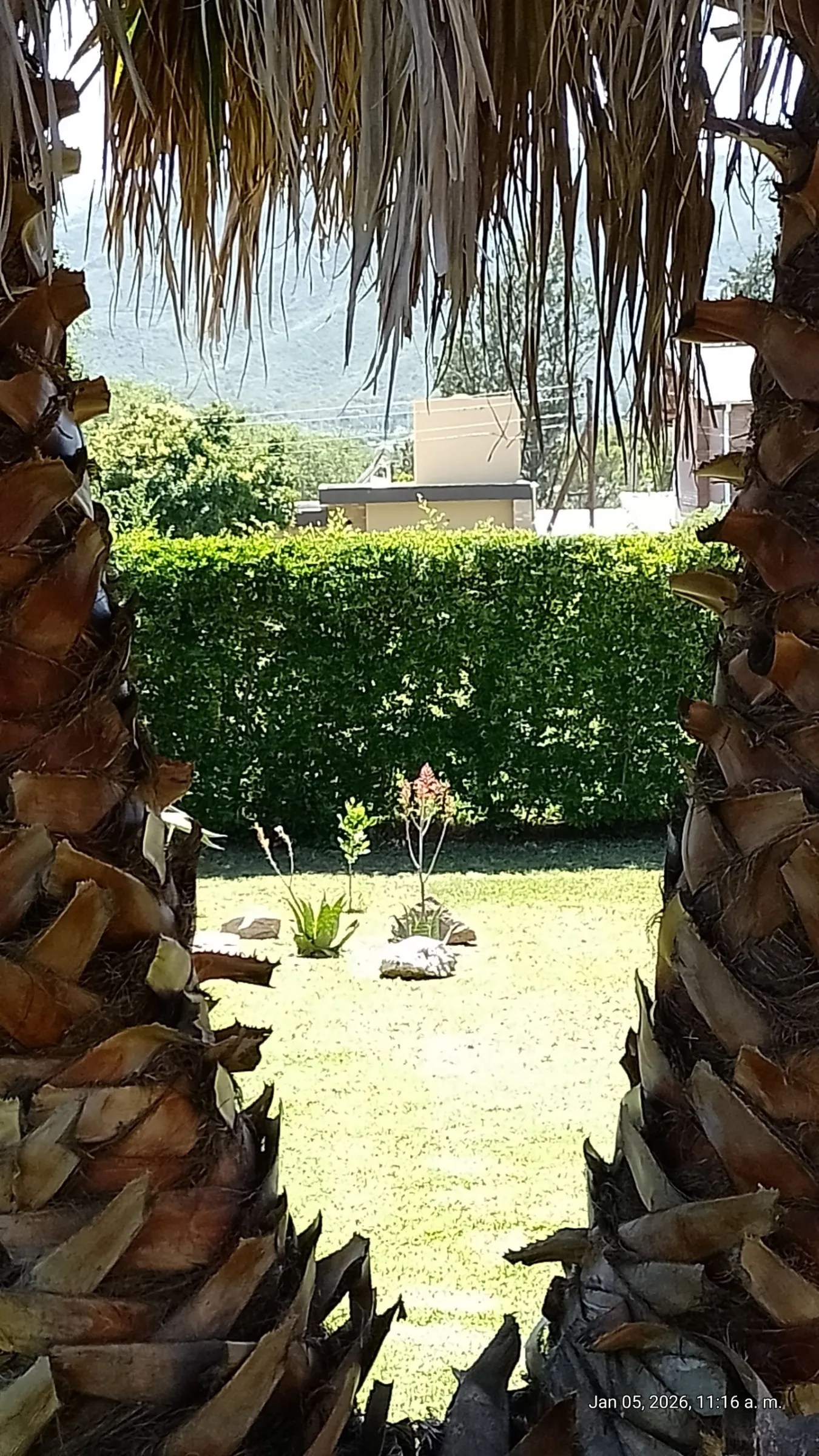 Vista desde la parrilla al fondo