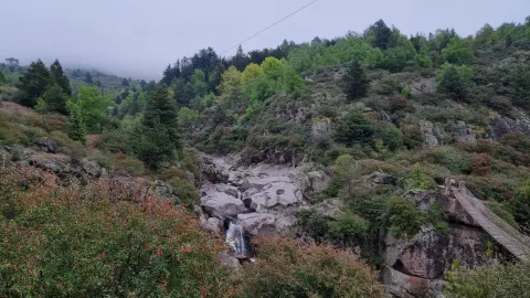 Foto de El Silo de Berna