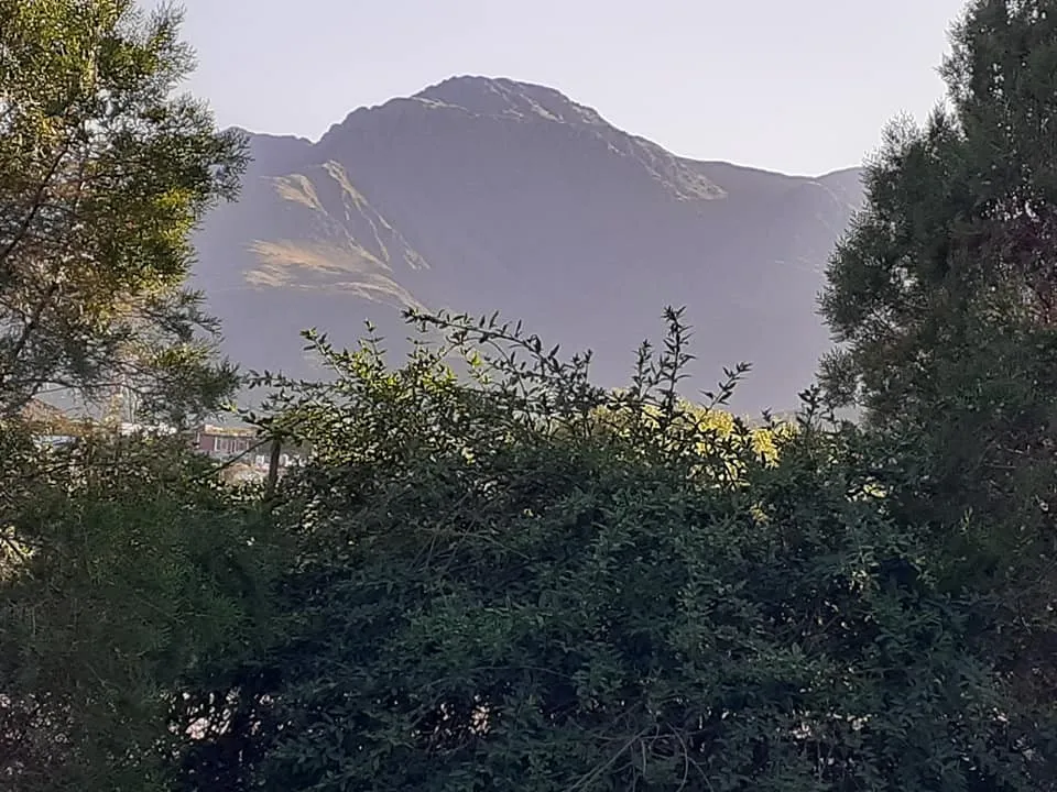 Foto de Cabañas Esferas de Cristal, dueño alquila